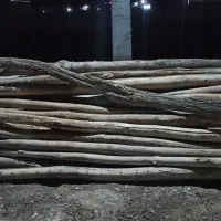 فروش چوب