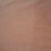 موکت|موکت|تربت جام, والفجر|دیوار