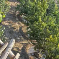 فرصت-طلایی-خرید-باغ-شخصی-نزدیک-تهران