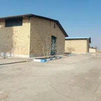 کارخانه قارچ و مواد غذایی