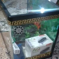 آکواریوم شیشه خم