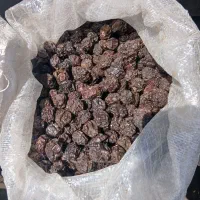آلوچه خوشمزه