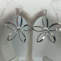 گوشواره زنانه مجلسی و شیک/فقط ۳۶۰ هزار تومان