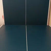 میز پینگ پنگ