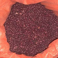 مواد غذایی