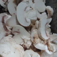 انواع قارچ اسلایس.سوخاری .سالم
