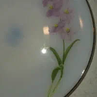 آرکوپال آمریکایی