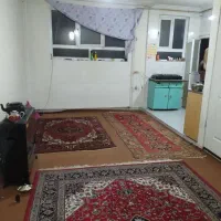همخانه،همخونه