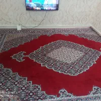فرش 12متری