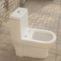 توالت فرهنگی نو