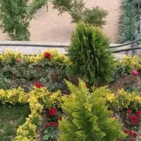 خدمات باغبانی باغچه تعویض خاک گلدان درمنزل