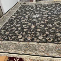 یک جفت زرشکی ۱۲متری یه کرم ۹متری ویه عدد۲۰ متری .