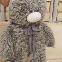 خرس یاهمون شاخصین
