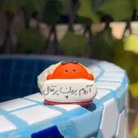 روداشبوردی پرتقال آروم برون
