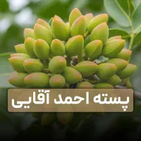 فروش تضمینی نهال های پربار با گیرایی بالا