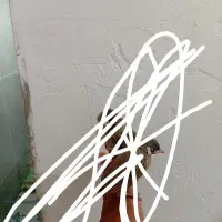 جوجه سهره
