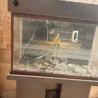 اکواریوم