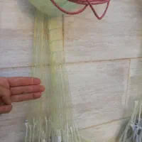 تور سالیک