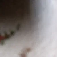 سیمکارت ۹۱۲