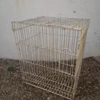 قفس پرنده