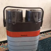 فلاکس دوقلو سالم