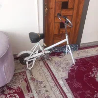 دوچرخه ورزشی
