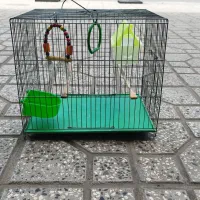قفس پرنده