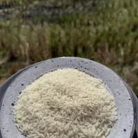 برنج هاشمی اعلا -۱۰ کیلویی