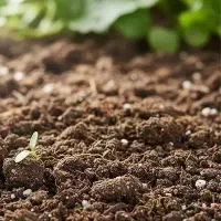 فروشنده .بازاریاب .کارشناس فروش .