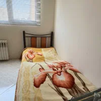 تخت یک نفره فلزی