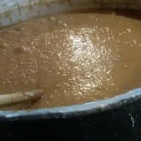 سمنو خانگی گندم