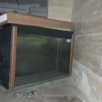 آکواریوم خارجی