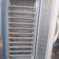 دستگاه جوجه کشی