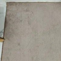 پالاز  موکت