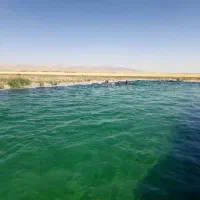 اجاره زمین کشاورزی آبی برای چقندر