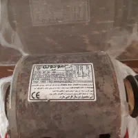 موتوژن