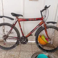این دوچرخه فروشی است