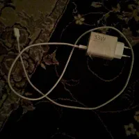 شارژر ۳۳ وات خشک خشک نهبندان
