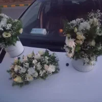 گل طبیعی