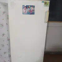 یخچال فریزر فیلور