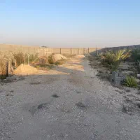 باغ-گورک