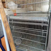 قفس طوطی و کبوتر برای جفتی بزرگ محکم سفارشی ساختم