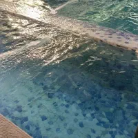 طبقه اول مستقل