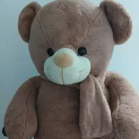 شاسخین بانمک
