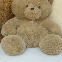 عروسک|اسباب‌‌بازی|شبستر, |دیوار