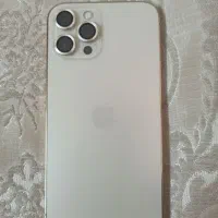 iphone 12 poro max