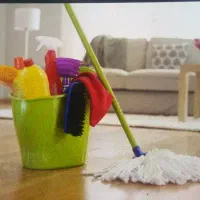 خدمات پاکیزگان سبز زاگرس