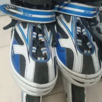 اسکیت