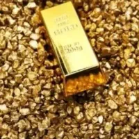 طلا زیر یک گرم ، متنوع ، ایتالیایی