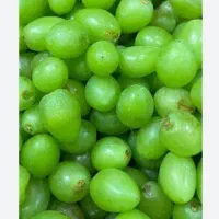 فروش غوره کلی